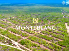 在Progreso, Yucatan出售的 土地, Progreso