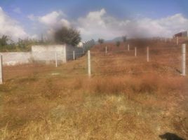  Land for sale in Tlayacapan, Morelos, Tlayacapan
