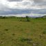  Land for sale in Tochimilco, Puebla, Tochimilco