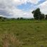  Land for sale in Tochimilco, Puebla, Tochimilco