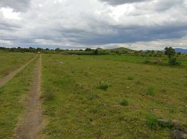  Land for sale in Tochimilco, Puebla, Tochimilco