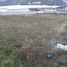  Land for sale in Calacali, Pichincha, Calacali