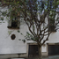 5 Schlafzimmer Haus zu verkaufen in Alvaro Obregon, Mexico City, Alvaro Obregon