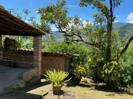 3 Habitación Casa en venta en Sabaneta, Antioquia, Sabaneta