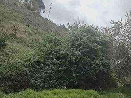  Land for sale in Tungurahua, Ambato, Ambato, Tungurahua