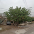 Maison 2 chambre à vendre à Torreon, Coahuila, Torreon