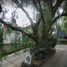2 Bedroom Apartment for sale in Alvaro Obregon, Mexico City, Alvaro Obregon