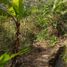  Terrain for sale in El Tambo, Catamayo, El Tambo