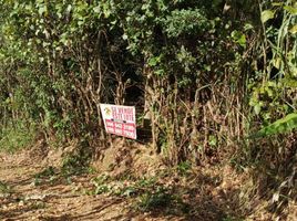  Terrain for sale in El Tambo, Catamayo, El Tambo