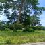  Terreno (Parcela) en venta en San Juan, Calabarzon, San Juan, Batangas