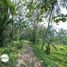  Land for sale in Bogor, West Jawa, Jasinga, Bogor