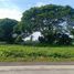  Land for sale in Quezon, Calabarzon, Tiaong, Quezon