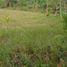  Land for sale in Cebu Central Visayas, Alcantara