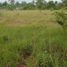  Land for sale in Alcantara, Cebu, Alcantara