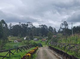  Villa zu verkaufen in Cuenca, Azuay, Octavio Cordero Palacios Sta Rosa