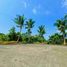  Land for sale in Poro, Cebu, Poro