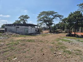  Land for rent in Nobol, Guayas, Narcisa De Jesus, Nobol