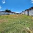  Land for sale in Cartago, Valle Del Cauca, Cartago