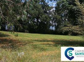  Land for sale in Santander, Los Santos, Santander