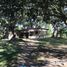  Land for sale in Ibaan, Calabarzon, Ibaan