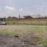  Land for rent in Guadalajara, Jalisco, Guadalajara