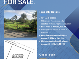  Land for sale in Quezon, Calabarzon, Pagbilao, Quezon