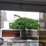 Appartement 3 chambre à vendre à Santiago De Surco, Lima, Santiago De Surco, Lima, Lima