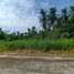  Land for sale in Quezon, Calabarzon, Tiaong, Quezon