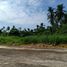  Land for sale in Tiaong, Quezon, Tiaong