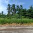  Land for sale in Quezon, Calabarzon, Tiaong, Quezon