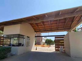 5 Habitación Casa en venta en Piura, Castilla, Piura, Piura