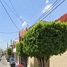 3 chambre Maison for sale in Nayarit, Tepic, Nayarit