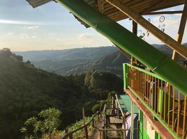 18 Schlafzimmer Villa zu verkaufen in Salento, Quindio, Salento