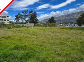  Terreno (Parcela) en venta en Cunchibamba, Ambato, Cunchibamba