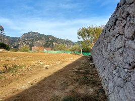  Grundstück zu verkaufen in Tepoztlan, Morelos, Tepoztlan, Morelos