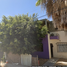 3 Habitación Casa en venta en La Paz, Baja California Sur, La Paz