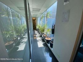 9 m2 Office for rent in Mexique, Naucalpan De Juarez, Mexico, Mexique