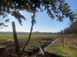  Land for sale in Talca, Talca, Talca