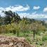  Land for sale in Tungurahua, San Bartolome De Pinllog, Ambato, Tungurahua