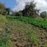  Land for sale in Ambato Tungurahua, Ambato, Ambato, Tungurahua