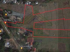  Land for sale in Rizal, Calabarzon, Pililla, Rizal