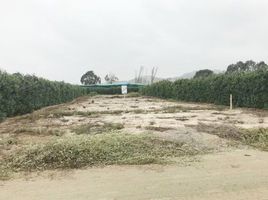  Terreno (Parcela) en venta en Asia, Lima, Asia
