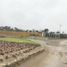  Terreno (Parcela) en venta en Asia, Lima, Asia