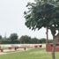  Terreno (Parcela) en venta en Asia, Lima, Asia