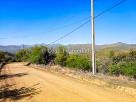  Terreno (Parcela) en venta en Maria Pinto, Melipilla, Maria Pinto