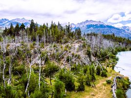  Terrain for sale in Chubut, Cushamen, Chubut