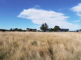  Terreno (Parcela) en venta en Puerto Varas, Llanquihue, Puerto Varas