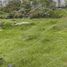  Land for sale in San Jeronimo Tecuanipan, Puebla, San Jeronimo Tecuanipan