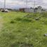  Land for sale in San Jeronimo Tecuanipan, Puebla, San Jeronimo Tecuanipan
