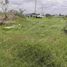  Land for sale in San Jeronimo Tecuanipan, Puebla, San Jeronimo Tecuanipan